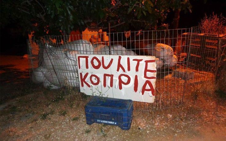 Όταν οι ανορθογραφίες σου βγάζουν το μάτι