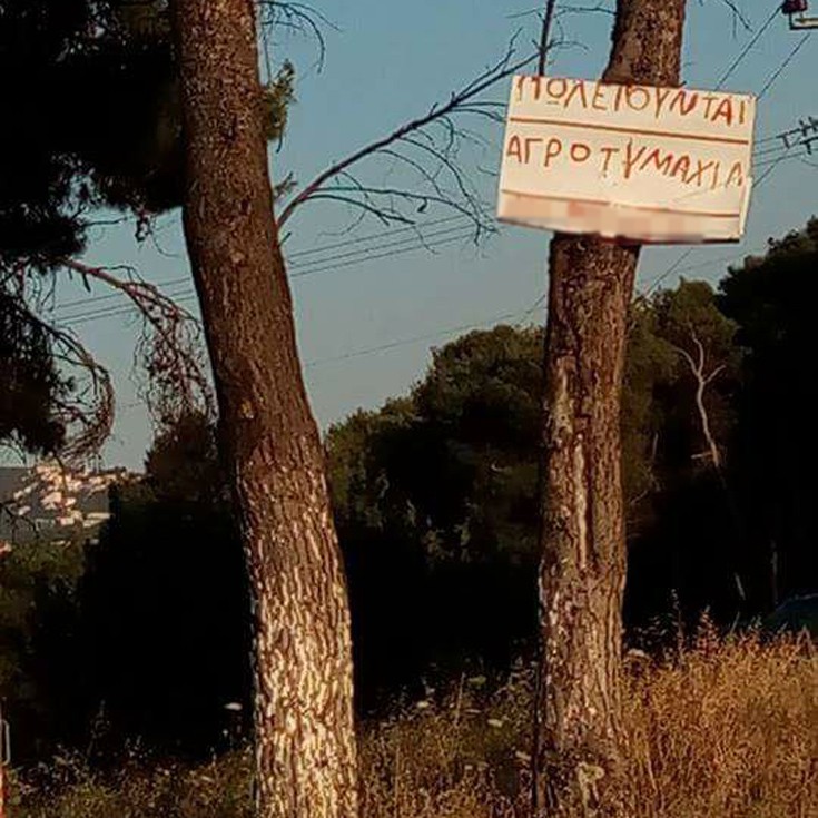 Ελληνικές πινακίδες, επιγραφές και ανακοινώσεις με ορθογραφία που βγάζει μάτι