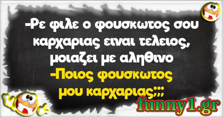 -Ρε φίλε ο φουσκωτός σου καρχαρίας είναι τέλειος